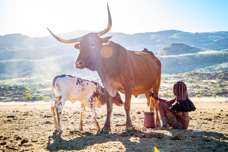 namibia botswana photo tour example 31